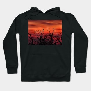 THE PEREGRINE SUNSET Hoodie